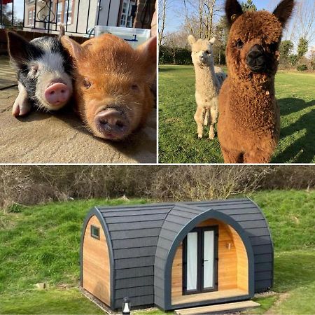The Piggery Pod 호텔 시팅본 외부 사진