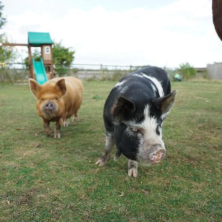 The Piggery Pod 호텔 시팅본 외부 사진